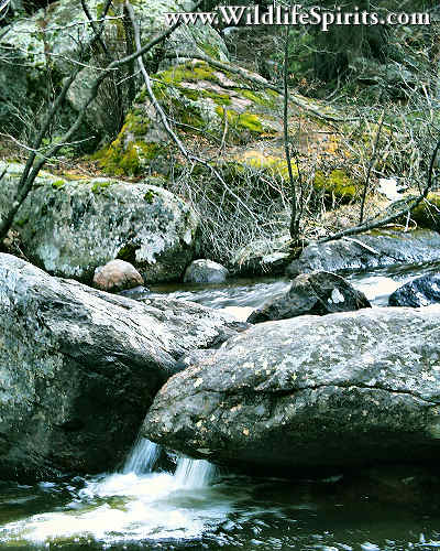 Click Picture to send as an  E-PostCard 52k 400x500